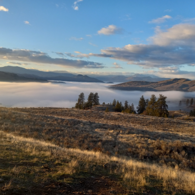 Antwyne Vally in the Okanogan filled with mist on a fall morning